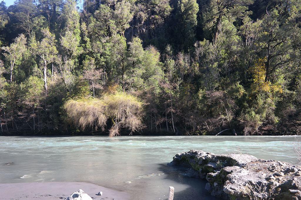 Chácara Patagonia Ralun